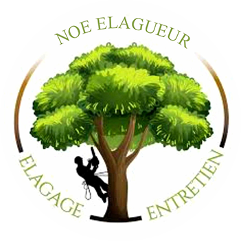Logo NOÉ ELAGAGE